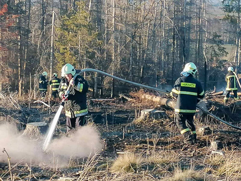 25.jpg / Požár lesa na Šanoříně